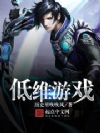 低维游戏